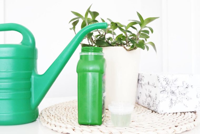 Nawożenie roślin pokojowych