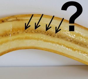 Sklepowy banan przekrojony wzdłuż. Widoczne w miąższu czarne kropeczki to pozostałości struktur, a konkretnie zalażków, z których nie rozwinęły się nasiona.